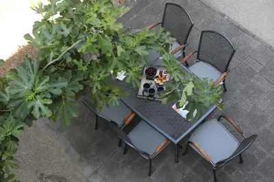 Vrt u objektu Apartmani Makarska 1