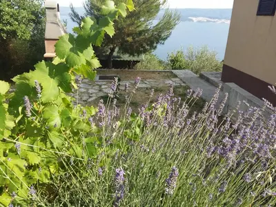 Priroda u blizini ladanjskih kuća