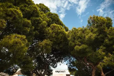 Tlocrt objekta City Beach Makarska