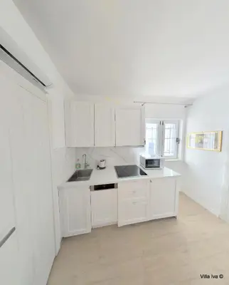 Kuhinja ili čajna kuhinja u objektu Luxury Apartments Stanici near Omis