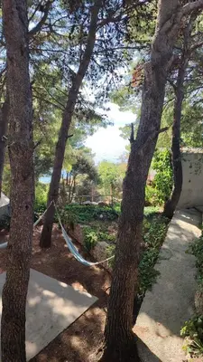 Priroda u blizini apartmana
