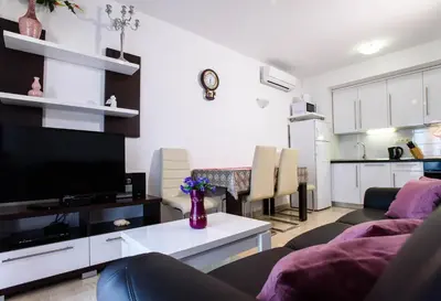 Kuhinja ili čajna kuhinja u objektu Villa Dusanka