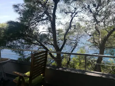 Priroda u blizini apartmana