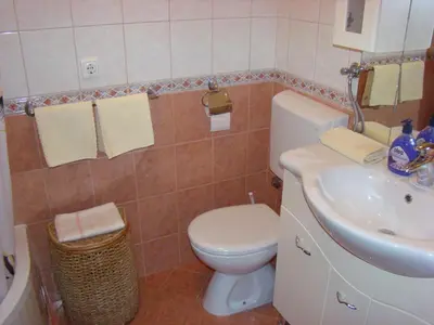 Kupaonica u objektu Apartments Ledic