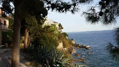 Priroda u blizini apartmana