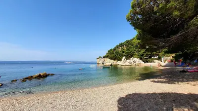 Priroda u blizini apartmana