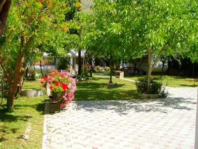 Vrt u objektu The penthouse apartment, first row by the sea, Beach house Ana