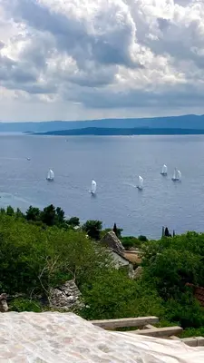 Priroda u blizini vikendica