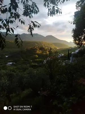 Priroda u blizini apartmana