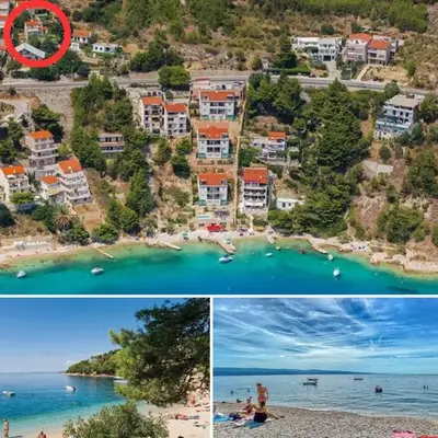 Green Oasis Holiday Home