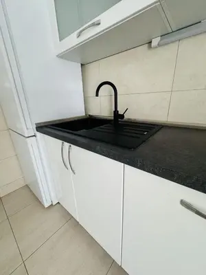 Kuhinja ili čajna kuhinja u objektu Villa Tomić