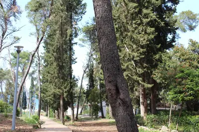 Tlocrt objekta Apartments Salihbegovic