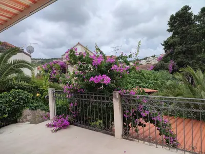 Vrt u objektu Seaside holiday house Sutivan, Brac - 23655
