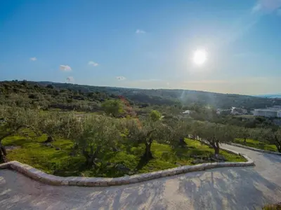 Priroda u blizini vila