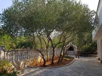 Vrt u objektu Apartments with parking space Rudina, Hvar - 23777