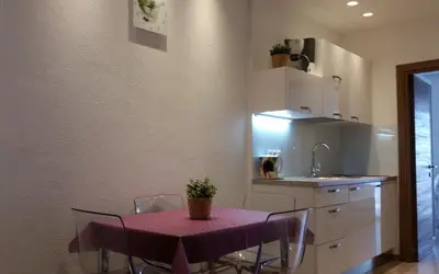 Kuhinja ili čajna kuhinja u objektu Apartments Ursic MB