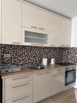 Kuhinja ili čajna kuhinja u objektu Apartman Volak