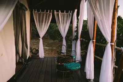 Balkon ili terasa u objektu Olive Garden ranch