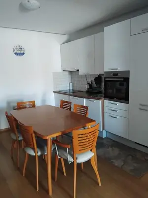 Kuhinja ili čajna kuhinja u objektu Apartments Karaman