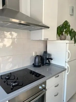 Kuhinja ili čajna kuhinja u objektu Old Town Center Apartments