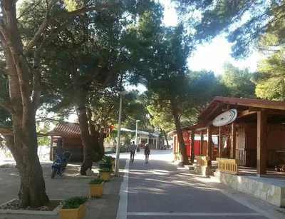 Okolica apartmana ili susjedstvo u blizini