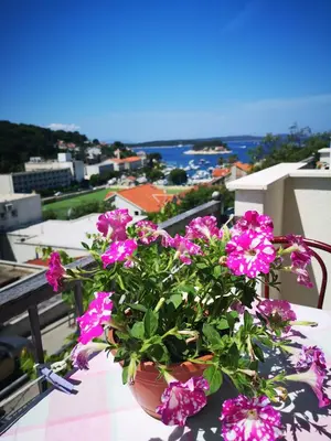 Priroda u blizini apartmana