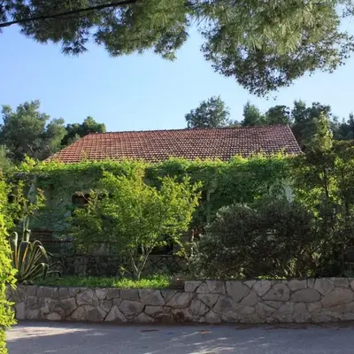 Apartments by the sea Mudri Dolac