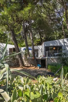 Vrt u objektu Seaside house for families with children Ivan Dolac, Hvar - 140