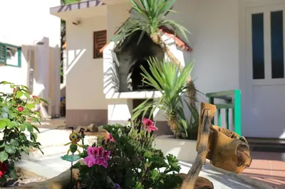 Vrt u objektu Holiday house with a parking space Brela, Makarska - 788