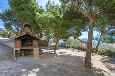 Priroda u blizini apartmana