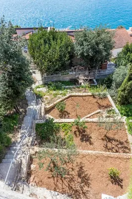 Priroda u blizini apartmana