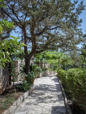 Vrt u objektu Apartments by the sea Zavala, Hvar - 2061