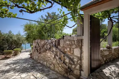 Priroda u blizini apartmana