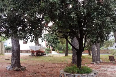 Vrt u objektu Apartments by the sea Mirca, Brac - 2886