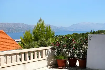 Priroda u blizini apartmana