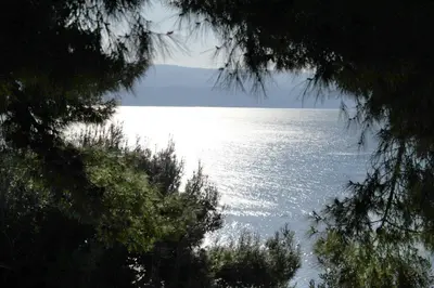 Priroda u blizini apartmana