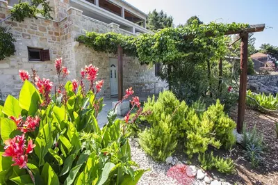 Vrt u objektu Seaside secluded apartments Cove Skozanje, Hvar - 5713
