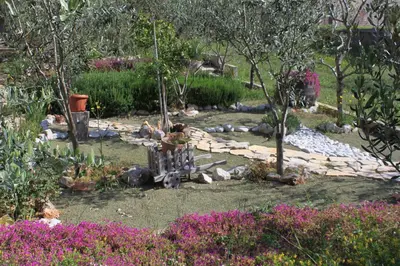 Vrt u objektu Apartments with parking space Stari Grad, Hvar - 8708