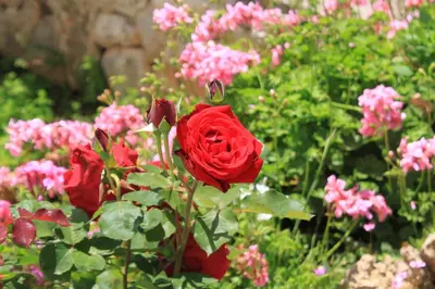 Tlocrt objekta Apartments and rooms by the sea Zavala, Hvar - 8784