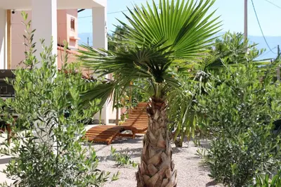 Tlocrt objekta Apartment Miran