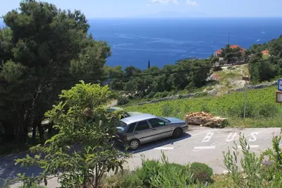 Priroda u blizini apartmana
