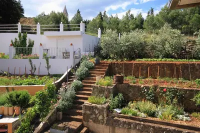 Tlocrt objekta Apartments and rooms with parking space Jelsa, Hvar - 8798