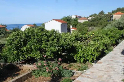 Priroda u blizini apartmana
