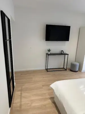 TV i/ili zabavni centar u objektu Apartments Olga 1