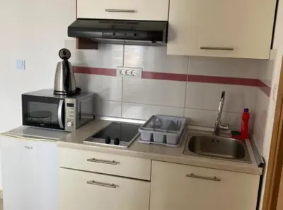 Kuhinja ili čajna kuhinja u objektu Apartments Katija