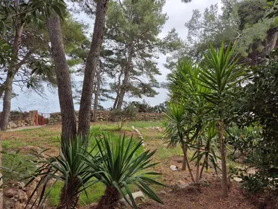 Vrt u objektu Apartments by the sea Zavala, Hvar - 8774