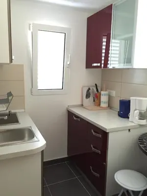 Kuhinja ili čajna kuhinja u objektu Villa Radoš - 4 Sterne, 3 Apartments für maximal 18 Gäste