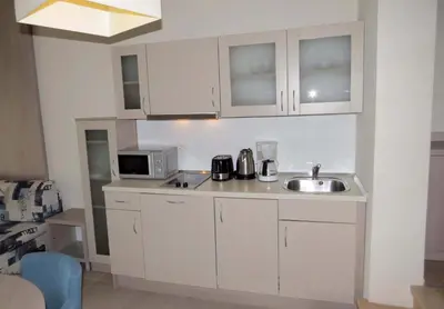 Kuhinja ili čajna kuhinja u objektu Apartments Villa Loznica