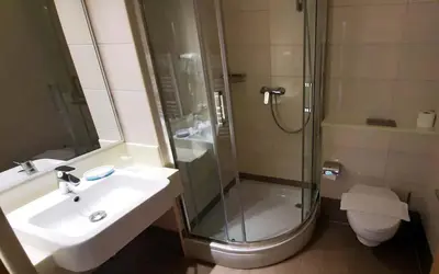 Kupaonica u objektu Apartments Villa Loznica