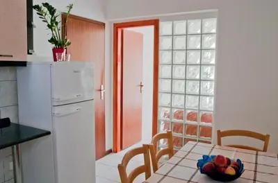 Kuhinja ili čajna kuhinja u objektu apartman leo